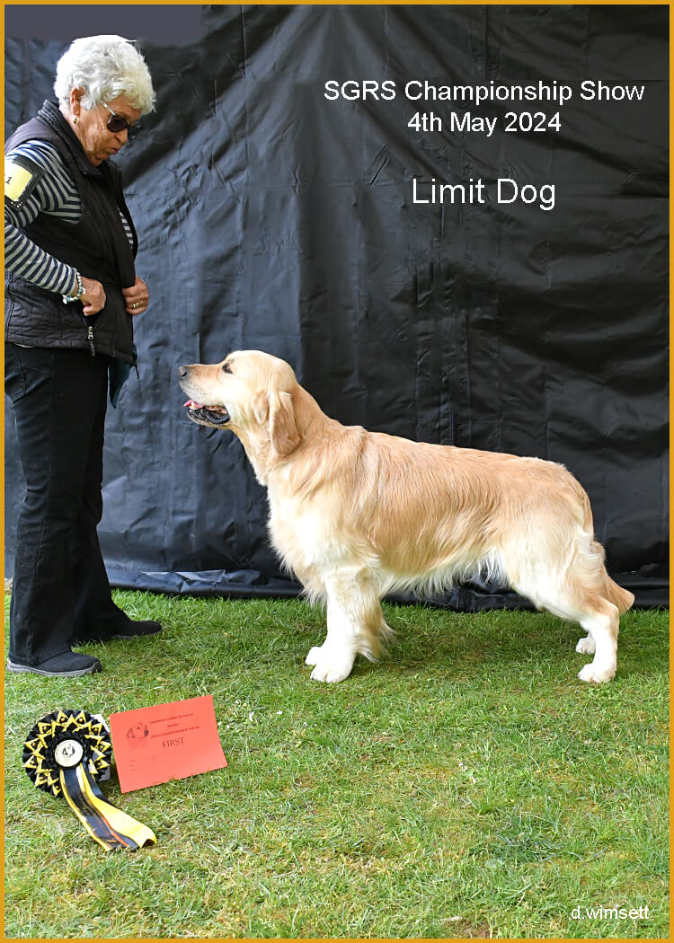 A dog standing next to a person Description automatically generated