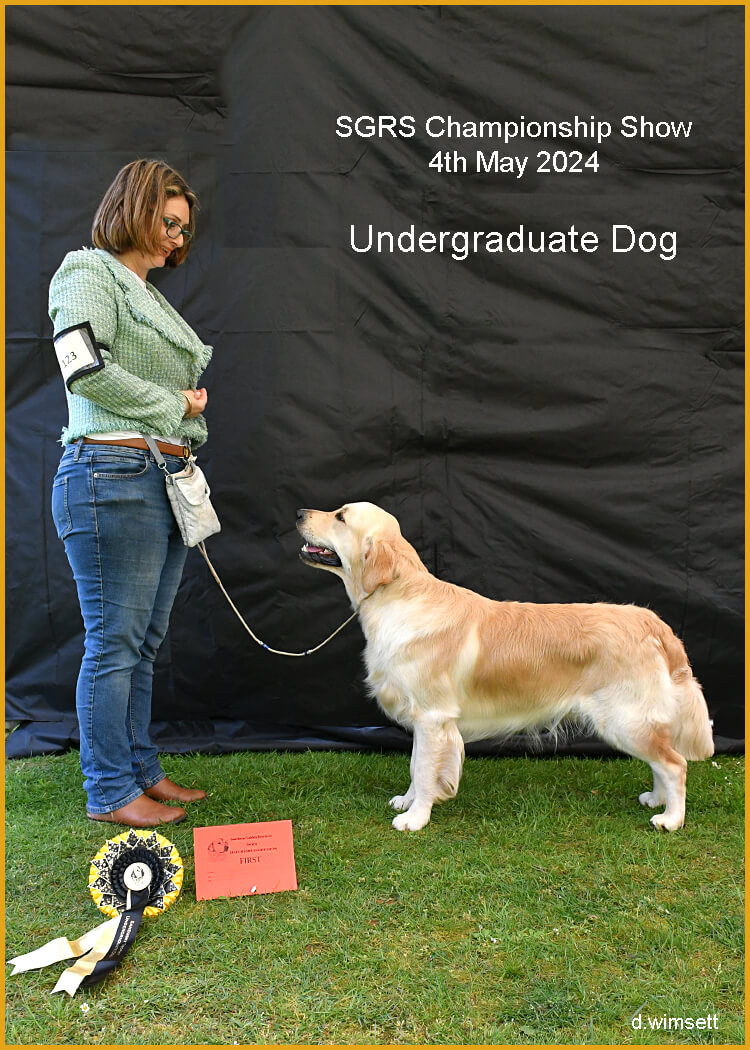 A person standing next to a dog Description automatically generated